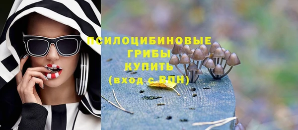 экстази Рославль