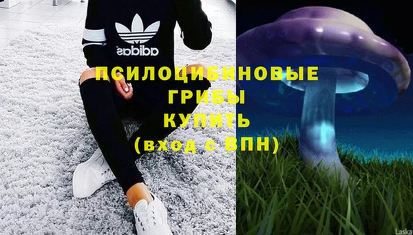 ECSTASY Весьегонск