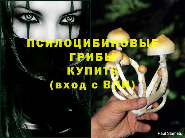 спайс Алексин