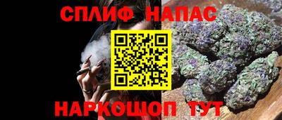 хмурый Дубна