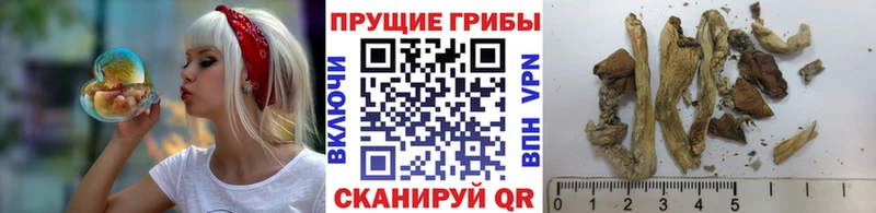 Галлюциногенные грибы мицелий Лесосибирск