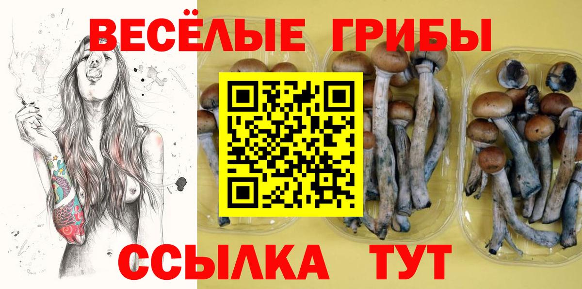Псилоцибиновые грибы ЛСД  Вход с VPN  Лесосибирск 